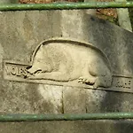 Landsted Kranio