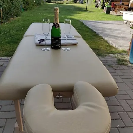 Kranio * 卡罗维发利