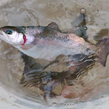 乡村民宿 Kranio 卡罗维发利