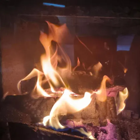 Kranio 卡罗维发利