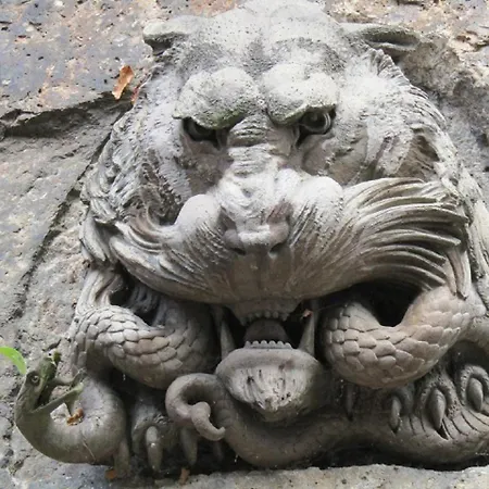 乡村民宿 Kranio *