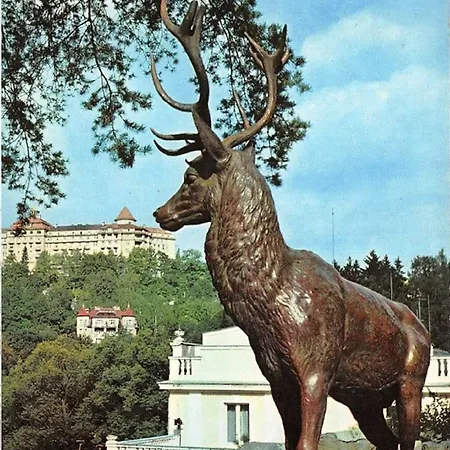 Landsted Kranio