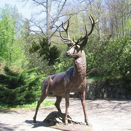 Kranio 卡罗维发利