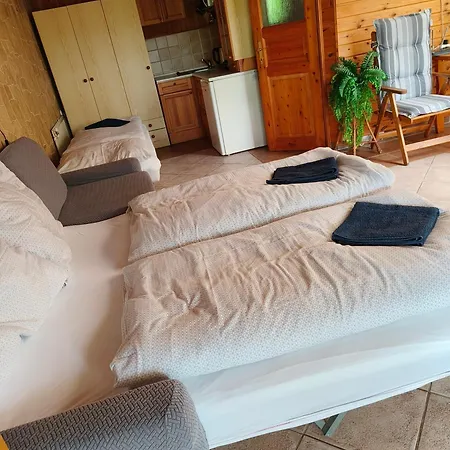 Kranio * 卡罗维发利