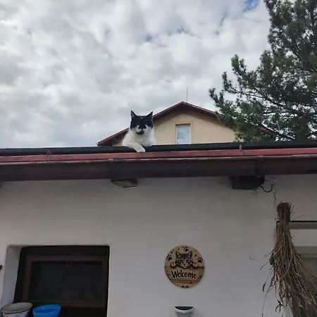 乡村民宿 Kranio 卡罗维发利