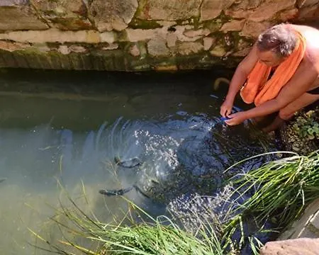 Kranio 乡村民宿 卡罗维发利